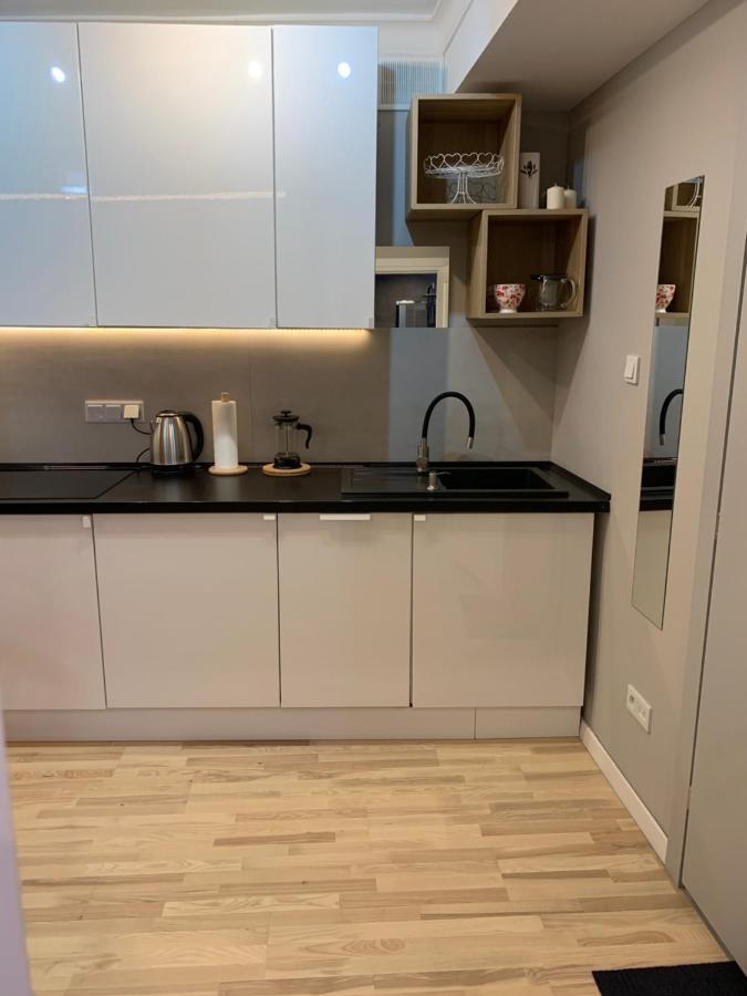 קרקוב Petit Appartement מראה חיצוני תמונה